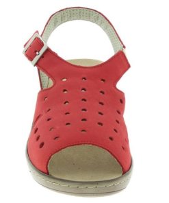 Grassys.shop2e43a166ed 2