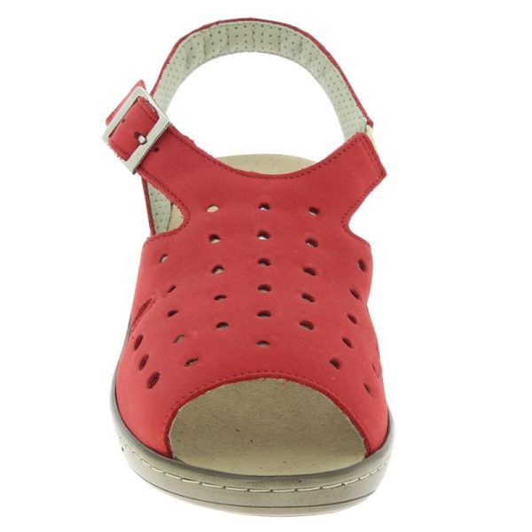 Grassys.shop2e43a166ed 2