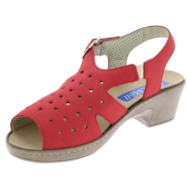 Grassys.shop2e43a166ed 3