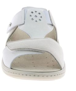 Grassys.shop303925197b 4