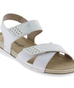 Grassys.shop3434d9ed26 1