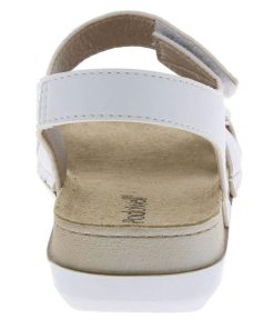 Grassys.shop3434d9ed26 4