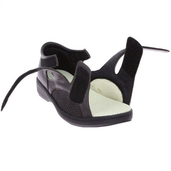 Grassys.shop45ebd9a0ba 4