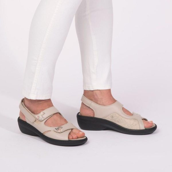 Grassys.shop8a44bb1363 1