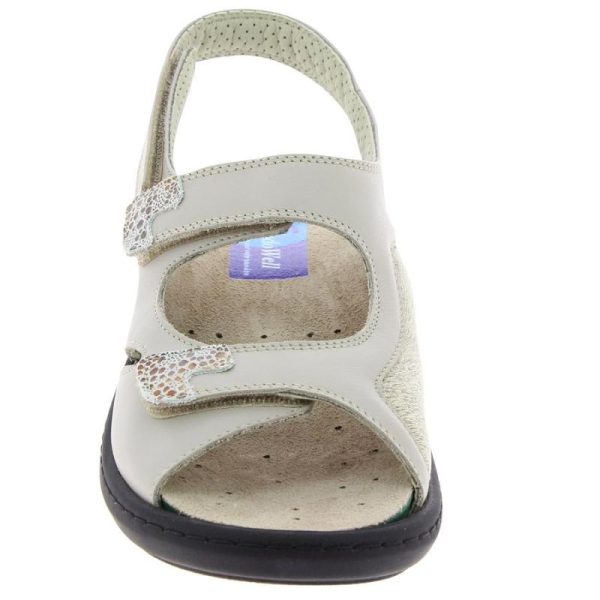 Grassys.shop8a44bb1363 4