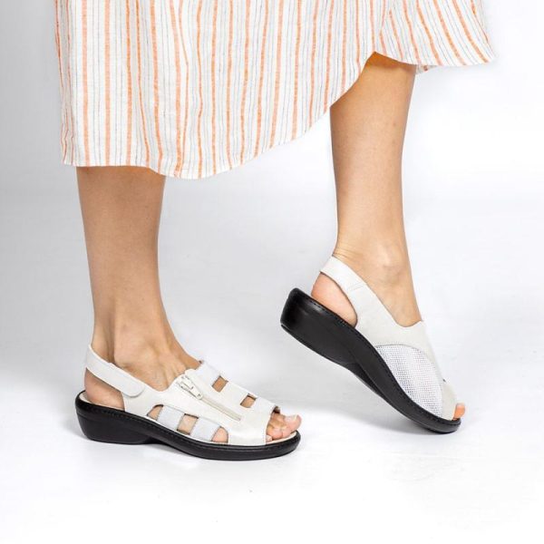 Grassys.shopbb30345de5 1