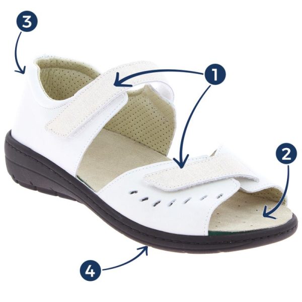 Grassys.shopbc6975de11 2