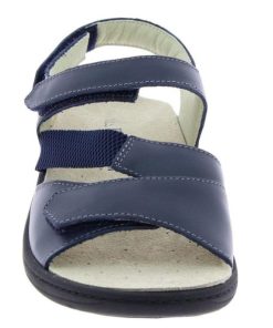 Grassys.shopbee4f6a6f0 4