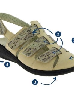 Grassys.shopc56bcc7c39 2