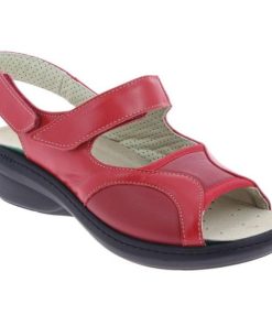 Grassys.shopd159667106 2