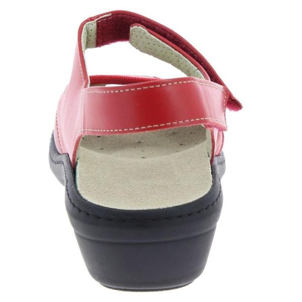 Grassys.shopd159667106 5