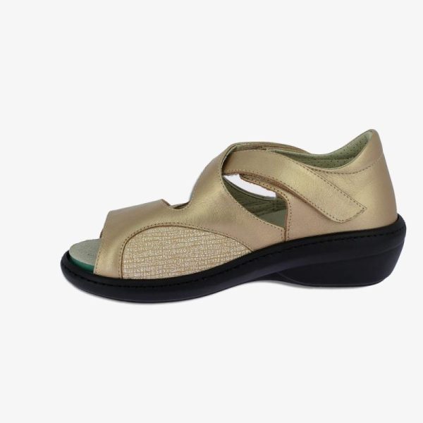 Grassys.shopdd80ca4c12 5