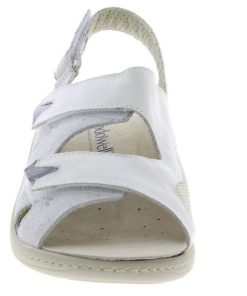 Grassys.shopec39dd1916 2