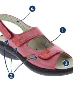 Grassys.shopfcad9da6d3 2