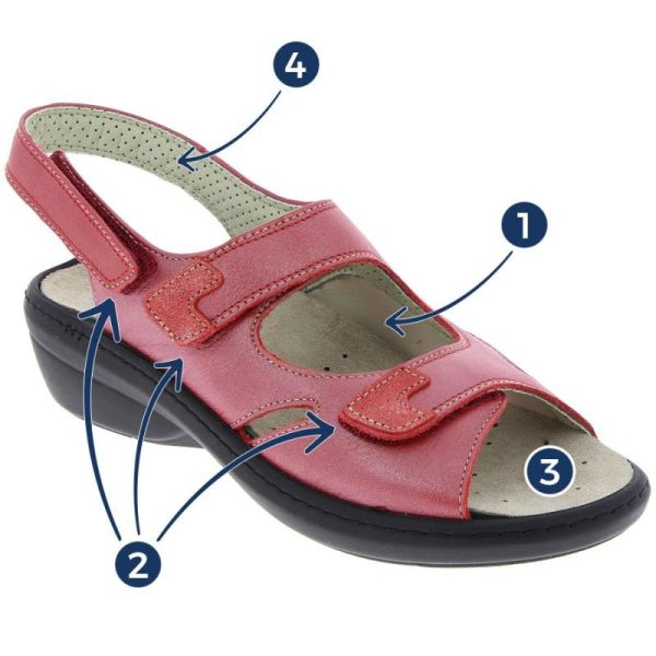 Grassys.shopfcad9da6d3 2