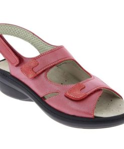 Grassys.shopfcad9da6d3 3