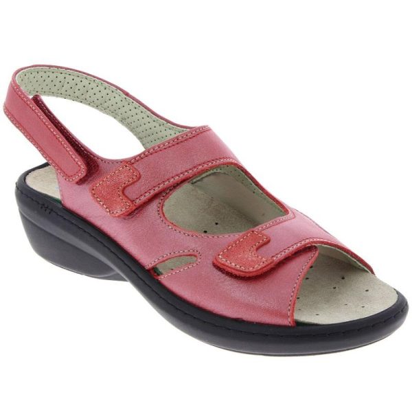 Grassys.shopfcad9da6d3 3