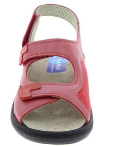 Grassys.shopfcad9da6d3 4