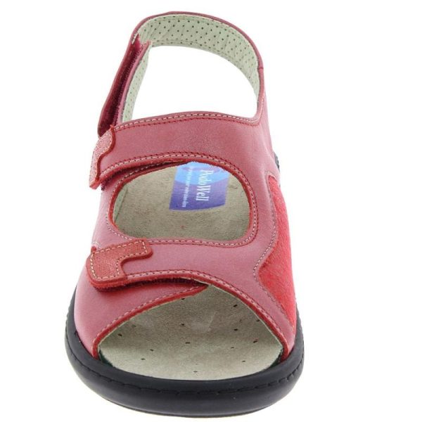 Grassys.shopfcad9da6d3 4